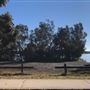 Swan Lake - Swanhaven