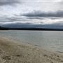 Swan Lake - Swanhaven
