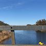 Swan Lake - Swanhaven