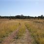 Bungarribee Park  - Western Sydney Parklands