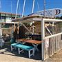 Cook at Kurnell