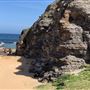 Avalon Beach
