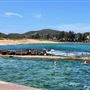 Avalon Beach