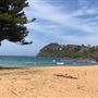 Whale Beach