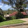 Avalon Beach