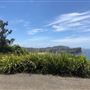 Bilgola Beach