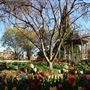 Bowral - Rotunda in Corbett Gardens