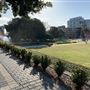 Civic Park Newcastle