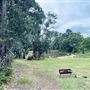 NF Studios - Shed Studio and Build Site on Private Property