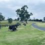 Tobruk Sheep Station - Cottages & surrounds