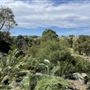 The Australian Botanic Garden Mount Annan