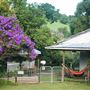 Fig Tree Retro Studio
