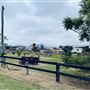 PITT TOWN