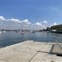 Clarkes Point Reserve
