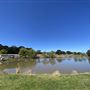 Darkes Forest Ranch