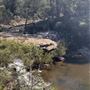 Darkes Forest Ranch