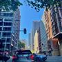 Sydney CBD - Elizabeth Street