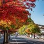 Goulburn