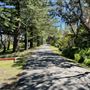 Gap Bluff Watsons Bay NPWS park gate entrance