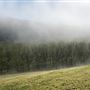 Bellbowra Farm
