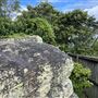 Green Point Cottage NPWS Watsons Bay