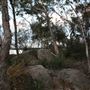 Bungonia National Park
