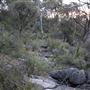 Bungonia National Park