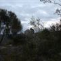Bungonia National Park