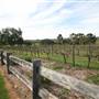Belgenny Farm