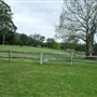 Belgenny Farm