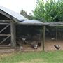 Belgenny Farm