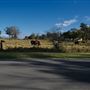 Belgenny Farm