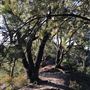 Hargraves Lookout