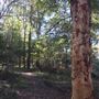 Glenbrook Lagoon