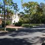 St Ives - Torokina Avenue streetscape