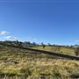 Stony Creek Farmland