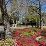 Leura Village
