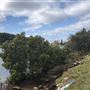 Nambucca Heads