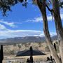 Dryridge Estate