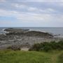 Black Head Reserve