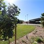 Maitland Regional Sportsground