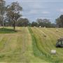 Tocal Farm