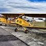 Maitland Airport