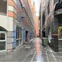 Kimber Lane