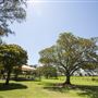 Ray Lawler Reserve