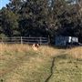 Sugarloaf Farm