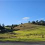Picton