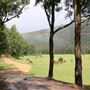 Glenworth Valley Wilderness Adventures