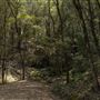 Glenworth Valley Wilderness Adventures