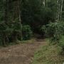 Glenworth Valley Wilderness Adventures